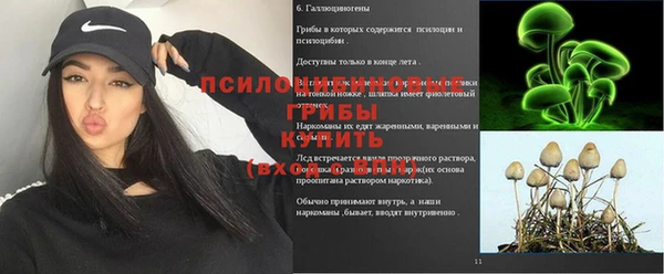 гашик Дмитров