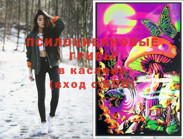 СК Гусев