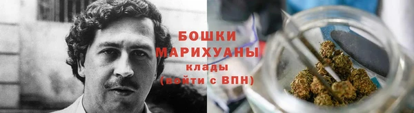стаф Гусь-Хрустальный
