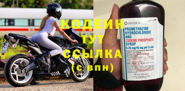 стаф Гусь-Хрустальный