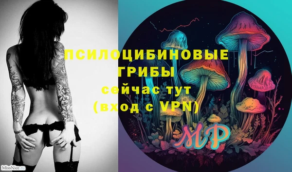 стаф Гусь-Хрустальный