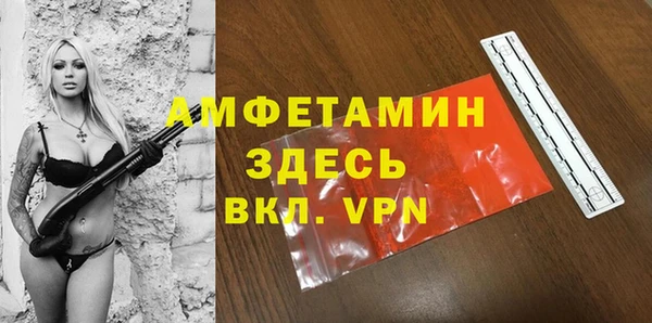 стаф Гусь-Хрустальный
