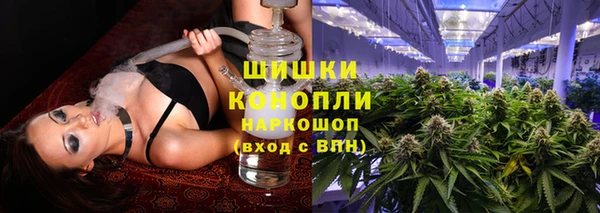 стаф Гусь-Хрустальный