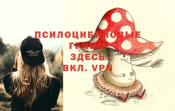 стаф Гусь-Хрустальный