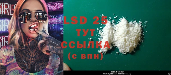 стаф Гусь-Хрустальный