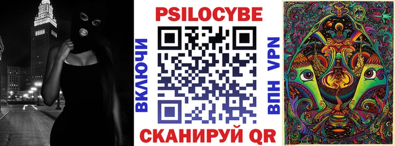 Псилоцибиновые грибы мицелий  блэк спрут как зайти  Каменка 