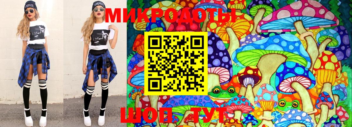 Каменка  Псилоцибиновые грибы прущие грибы  Вход с VPN  Галлюциногенные грибы GOLDEN TEACHER 