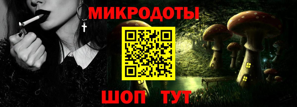 Галлюциногенные грибы Magic Shrooms Каменка