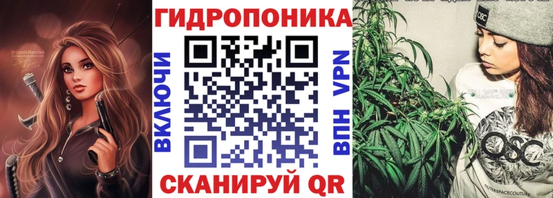 гидра ссылка  площадка клад  Каннабис ГИДРОПОН  Каменка 