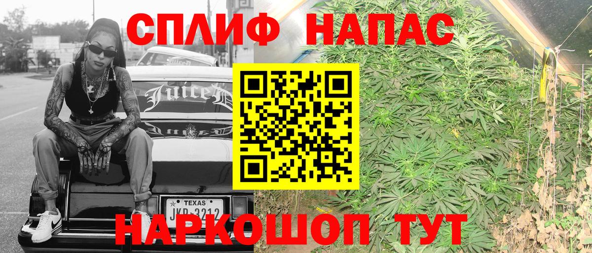 Канабис ГИДРОПОН Каменка